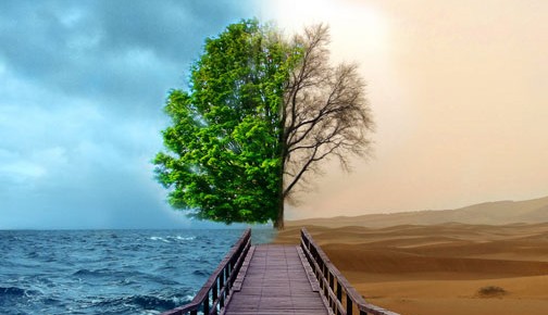 上億元,基金密集發紅包,多只ETF成“大戶”