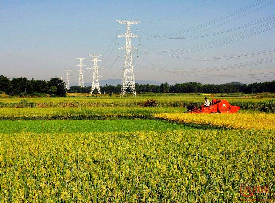 新農(nóng)開發(fā)股票個股分析 年報出爐嚇一跳 新農(nóng)開發(fā)股票個股分析 年報出爐嚇一跳