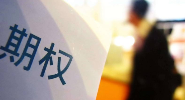 股票期權是什么意思？股票期權與權證的差別