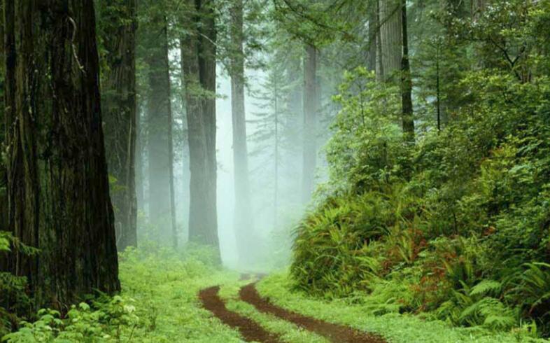 跌破凈資產的股票什么意思-跌破凈資產的股票可 跌破凈資產的股票什么意思-跌破凈資產的股票可