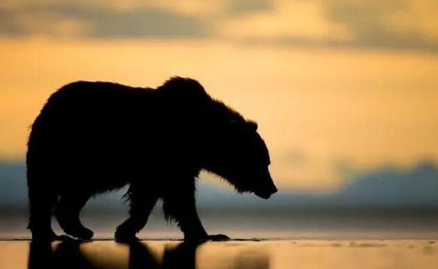 國際化更進一步!人民幣,大消息