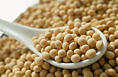 最新大豆期貨價格_8月18日大豆期貨行情查詢