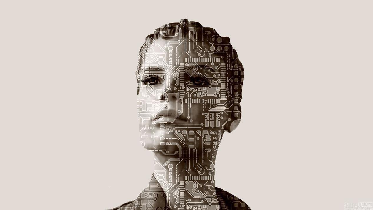 樹澤:為什么總有人造假,這絕不只是經濟賬