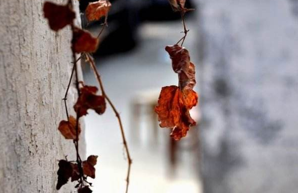 炒股網分析-最新大盤走勢機會盤點! 炒股網分析-最新大盤走勢機會盤點!