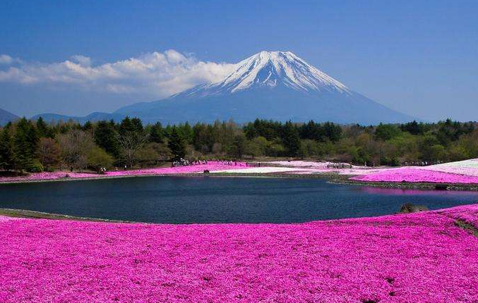 股票牛市-頂級機構看好的世紀交易！