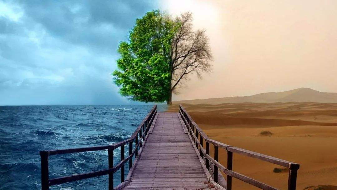 投資一家公司 就必須懂這家公司!