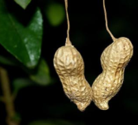 對于交易中確定性的理解!