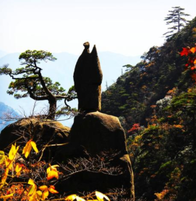 仙人指路-股票仙人指路k線圖解