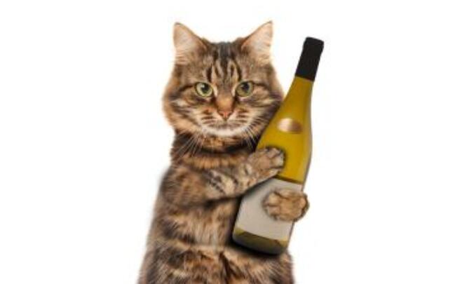 炒股技巧-手把手幫你選慢牛股! 炒股技巧-手把手幫你選慢牛股!