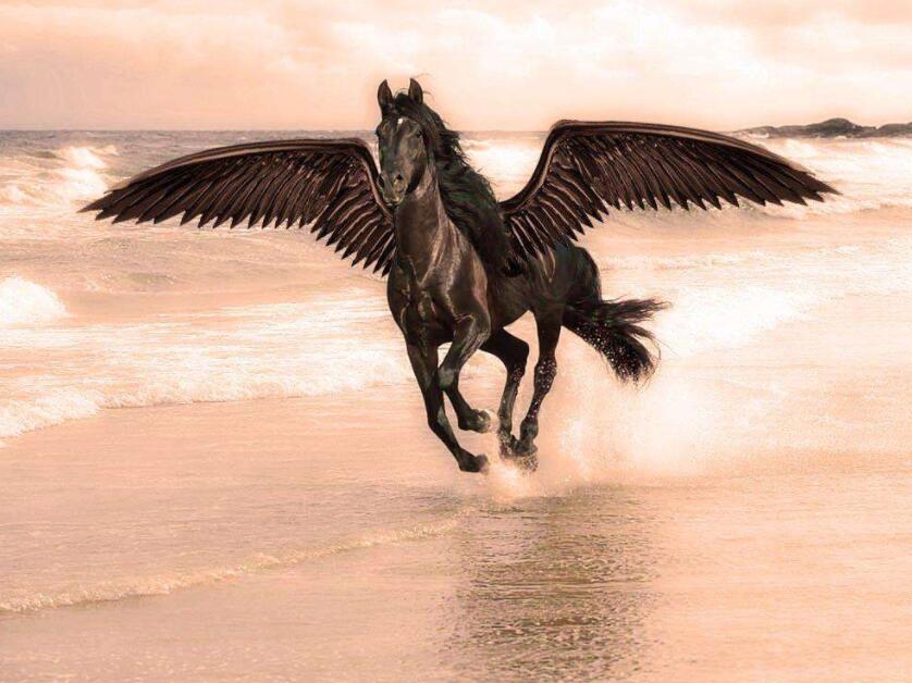 股票停牌是好事還是壞事-停牌的股