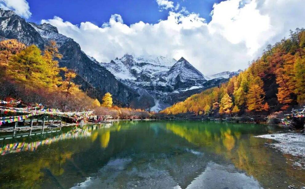 深南電路[002916]股票前景-適合長期