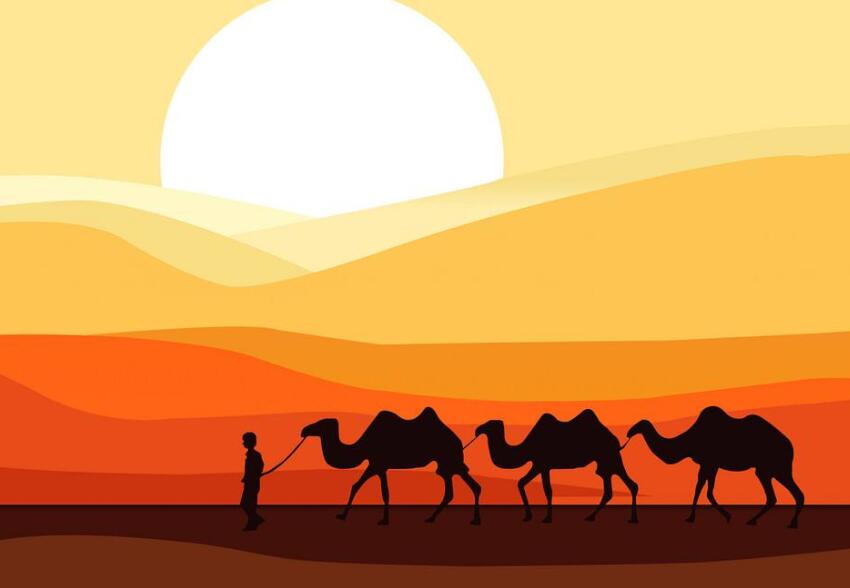 a股大盤今日走勢-滬指大盤今日實況