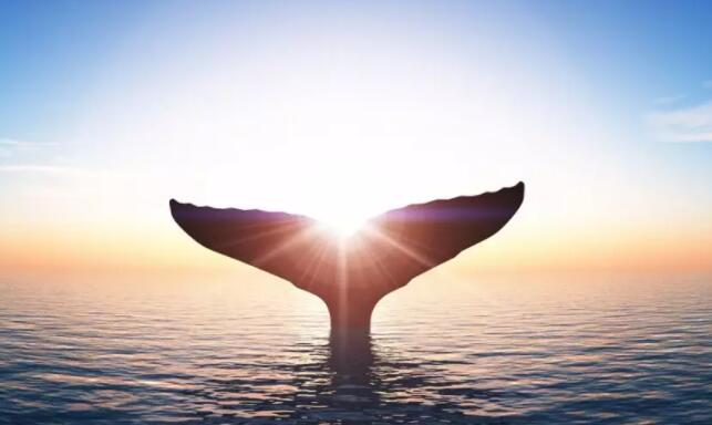 <b>財經365收評:北交所戰略意義重大 10只新股均大漲!</b>