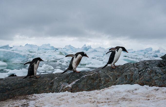 我國40家本土巨頭，為何不敵一個亞馬遜