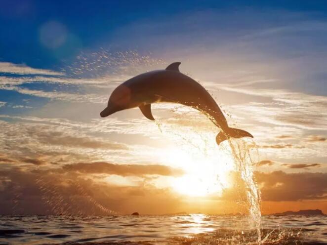 2022全面實行注冊制對股市影響幾何? 2022全面實行注冊制對股市影響幾何?