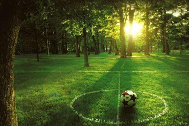 疫情好轉 旅游業加速復蘇 高增長股出爐（名單）