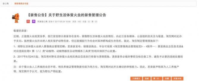 淘寶禁售公告：禁售野生活體螢火蟲