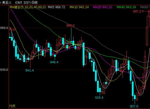 美豆因天氣炒作飆升 國內油脂能否掀開上漲新篇章?