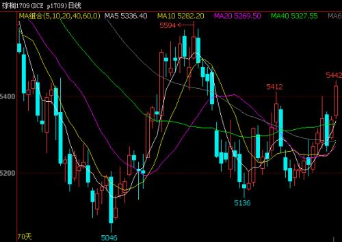 美豆因天氣炒作飆升 國內油脂能否掀開上漲新篇章?