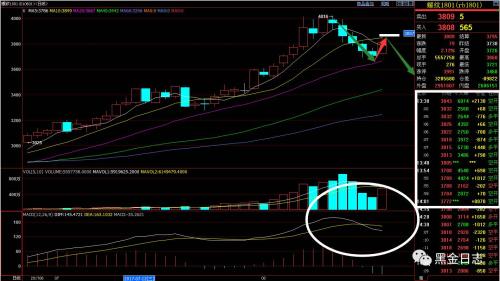 煤飛色舞領行情 情到深處不知路