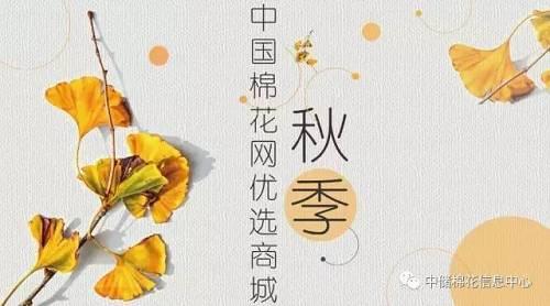 2017輪出|儲備棉成交量將破300萬噸 這些關鍵點要掌握