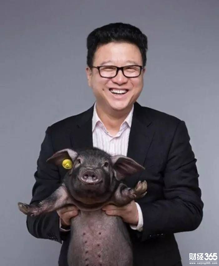 創業資訊:網易否認投資養雞 目前仍以養豬為主 創業資訊:網易否認投資養雞 目前仍以養豬為主