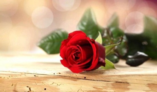 12.20外匯黃金單邊下跌17點你賺錢了嗎?日內黃金能否看多?