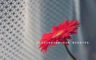 蘇希茵：2.11黃金操作建議 行情跌宕跌多漲空準沒錯