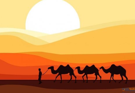 財(cái)經(jīng)365零基礎(chǔ)學(xué)投資-投資里的70法則 財(cái)經(jīng)365零基礎(chǔ)學(xué)投資-投資里的70法則