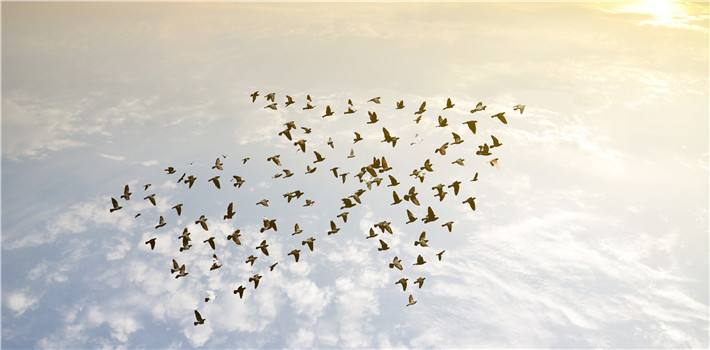 中國人壽推出百萬如意行保險組合計劃